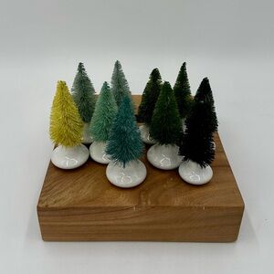 10 Bottle Brush Trees